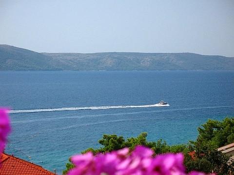 Apartament 4  5
