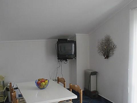 Apartament 1  1