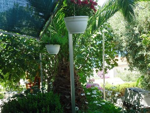 Apartament 2  5