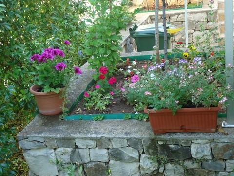 Apartament 2  7