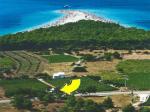 Villa Vineyard
