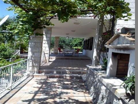 Apartament 1  1