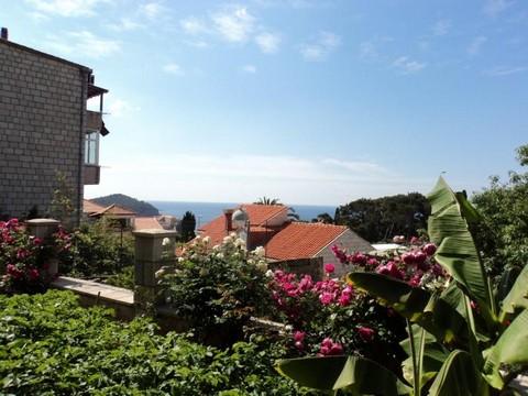 Apartament 2Z  8